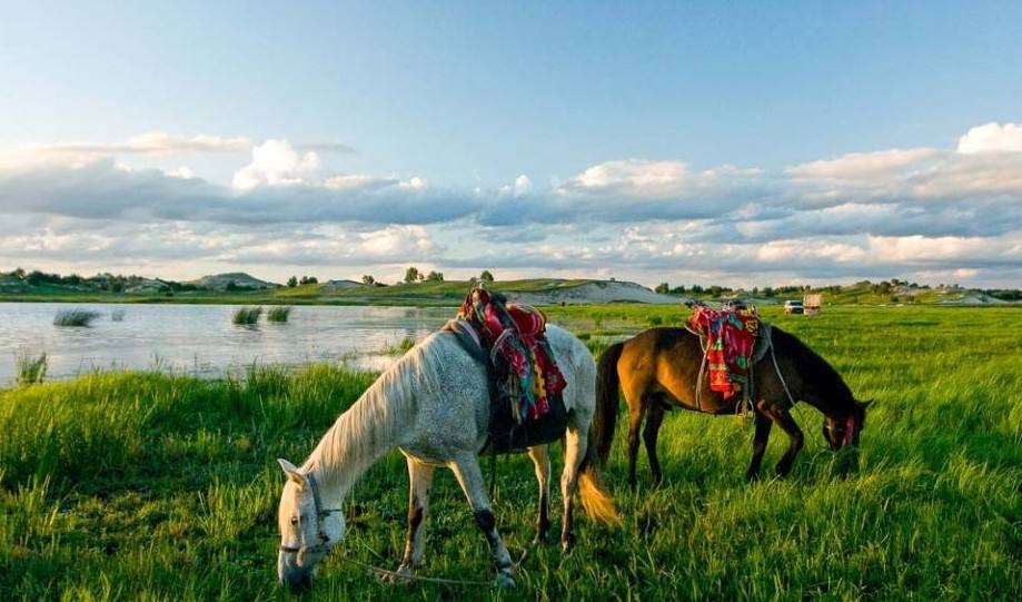 核心安全三重保障，新华三防火墙守护草原网络天空